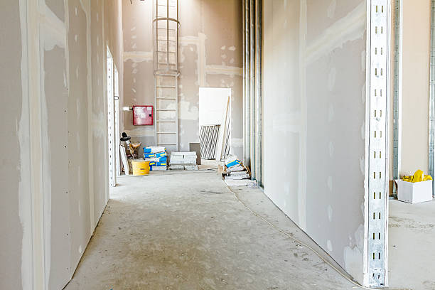 Reliable Imperial, CA Mold Removal Solutions